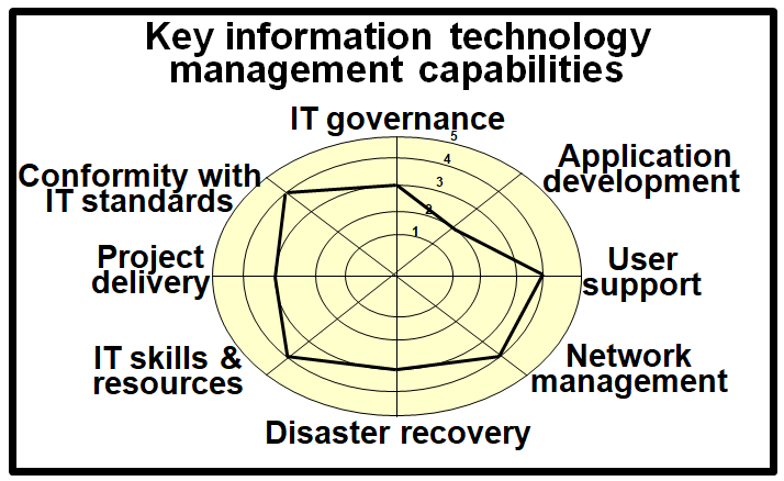 Summary of potential key capabilities for the information technology management function.