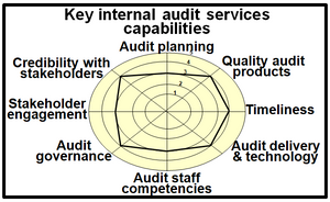Summary of potential key capabilities of the internal audit function in the public sector.