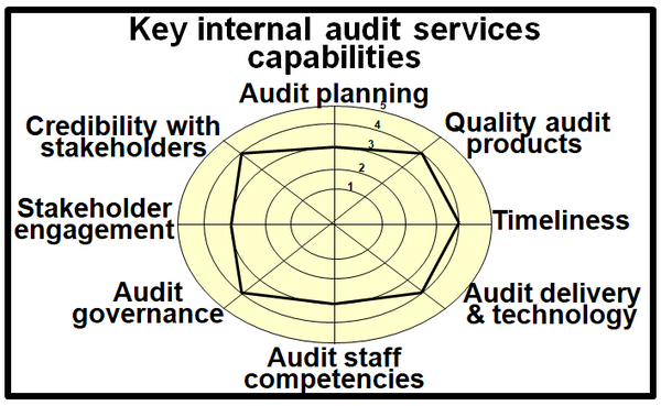 Summary of potential key capabilities of the internal audit function in the public sector.