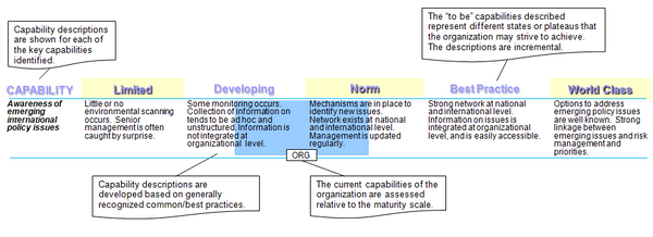 This chart explains how international affairs capabilities are assessed using a five level maturity scale.