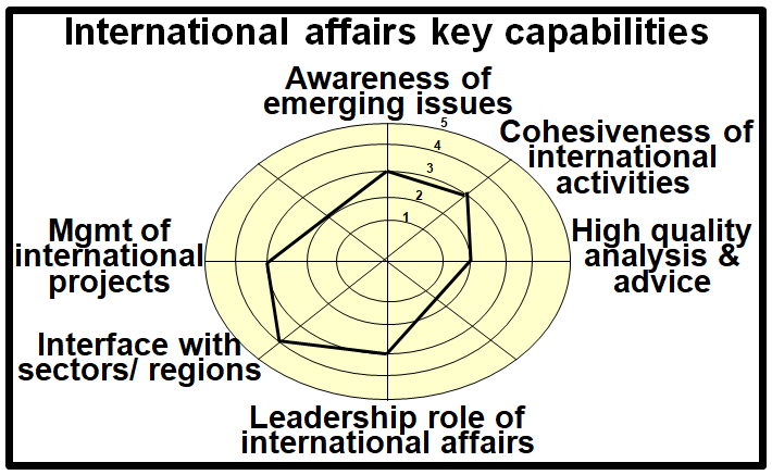 Potential key strategic capabilities for the international affairs function.