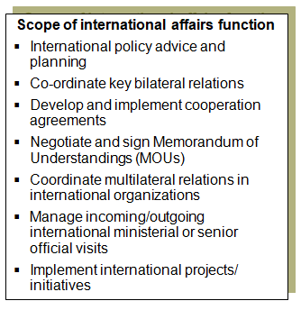 This chart lists typical international affairs activities.