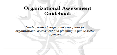 Organizational Assessment Guidebook