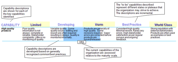 Example of application of the maturity model used to assess capabilities for the parliamentary and cabinet affairs function.