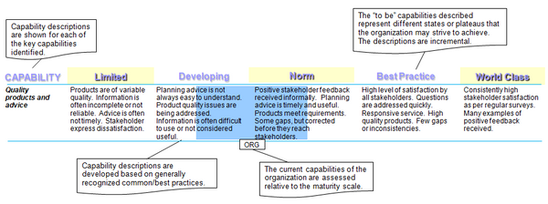 Example of the potential application of a capability maturity model for a key capability of the corporate planning and reporting function.