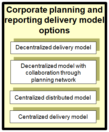 Examples of corporate planning and reporting delivery model options in a public organization.