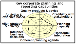 Summary of potential corporate planning and reporting capabilities.