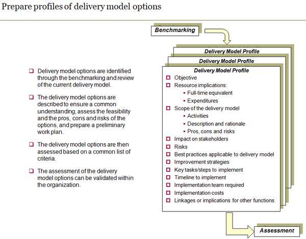 Prepare profiles of delivery model options.