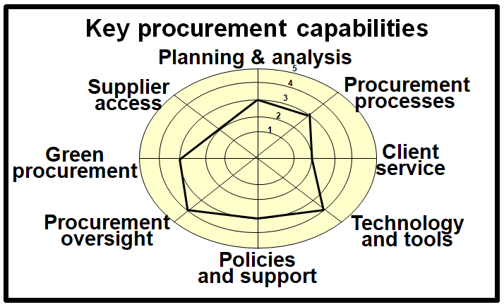 Summary of potential key capabilities for the procurement function in the public sector.
