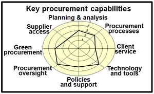 Summary of potential key capabilities for the procurement function in the public sector.