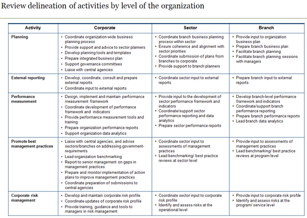 Template to review delineation of planning and reporting activities at different levels within the organization.
