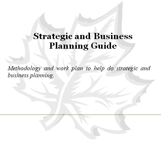 Cover page of the strategic and business planning guide.