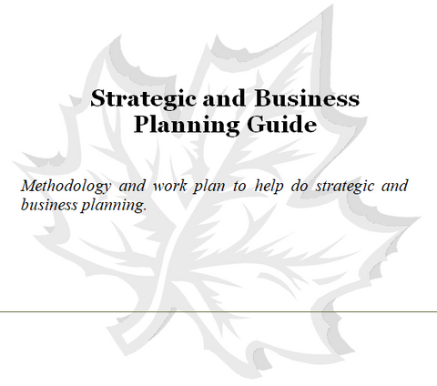 Cover page of the strategic and business planning guide.