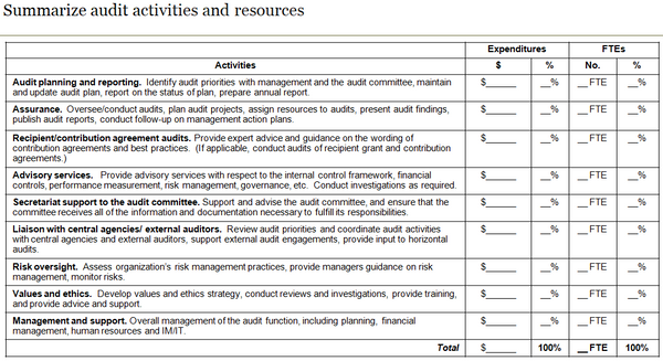 Template to summarize internal audit activities and resources.
