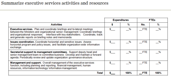 Template to summarize executive services activities and resources associated with each activity.