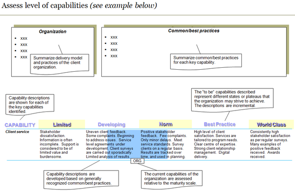 Template to summarize assessment of capability levels by key capability.
