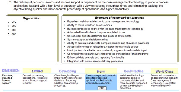 Example of best practices and capability assessment model provided for one criteria.