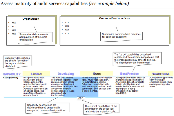 Audit Services Capability Assessment Template (21 slides)